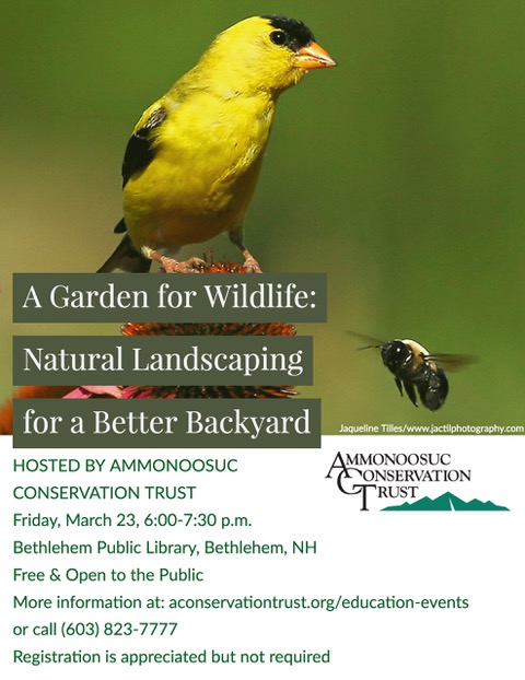 Garden for Wildlife Flyer