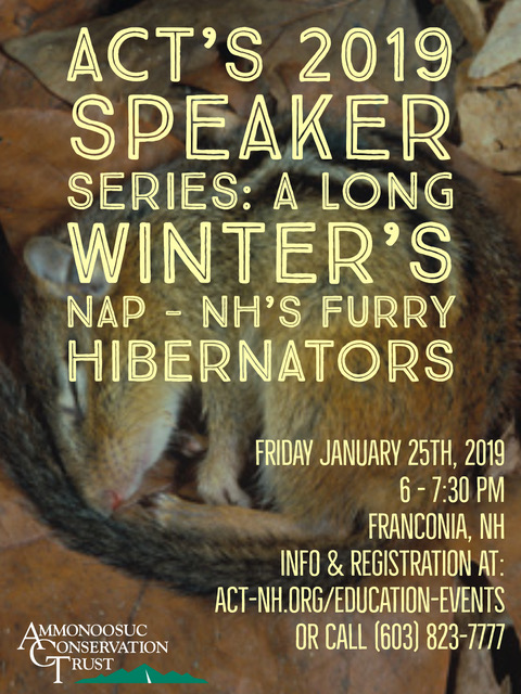 2019.01 hibernators talk ll flyer