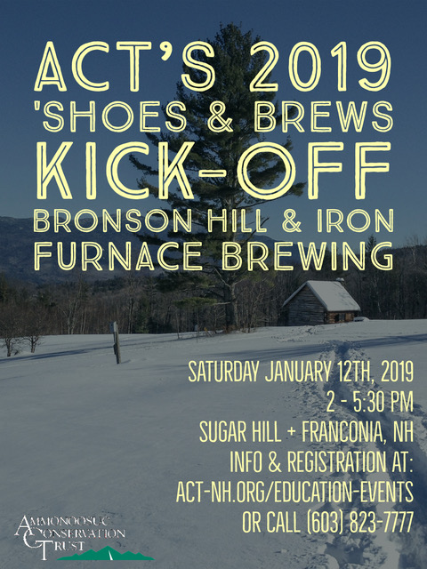 2019.01 s&amp;b bronson_ifb ll flyer